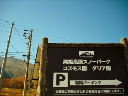 黒姫山の麓にある、コスモス園です。