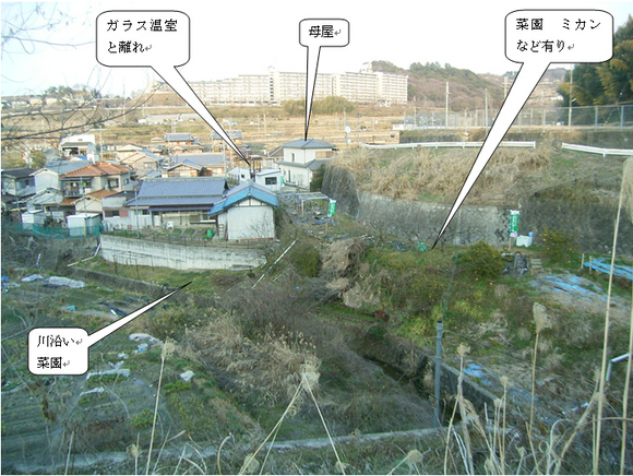 河内長野 広い土地の菜園・温室・離れ付き住宅 5