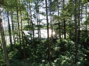 北信州黒姫山麓売り別荘地 自社物件