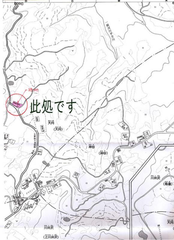 湖畔に佇むログハウス(室内から探鳥観察) 5
