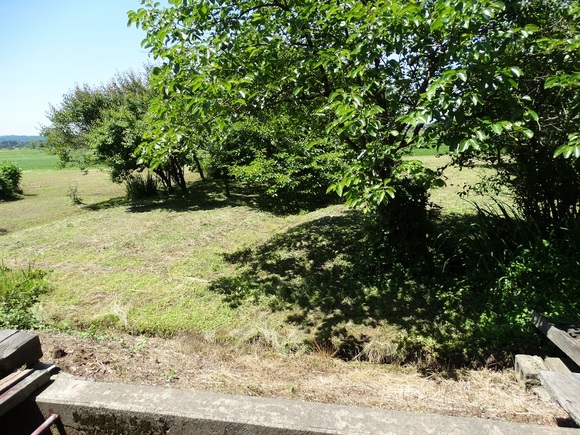 とても手入れの行き届いた綺麗な住まい 3