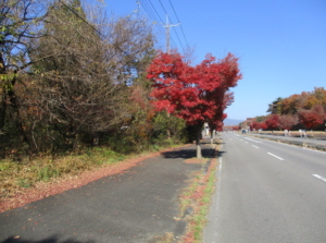 那須塩原市、関谷区画整理地内の土地・国道４００号線に接道した沿道サービス等に適した土地