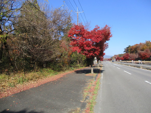 那須塩原市、関谷区画整理地内の土地・国道400号線に接道した沿道サービス等に適した土地 2