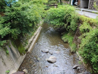 敷地沿いに流れる渓流（中津川）
