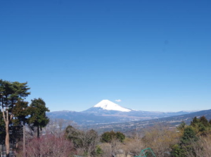富士山と箱根連山を望む温泉付きリゾートマンション